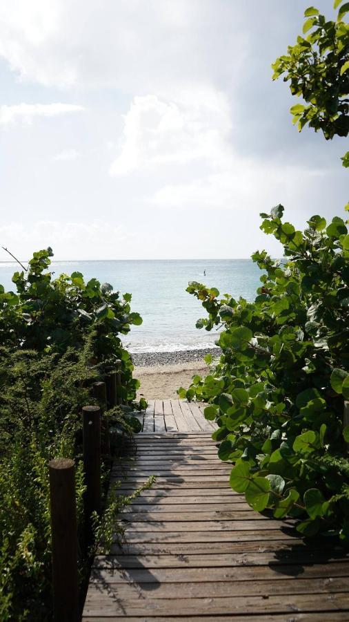 Coqui Beach Home, Culebra Кулебра Экстерьер фото