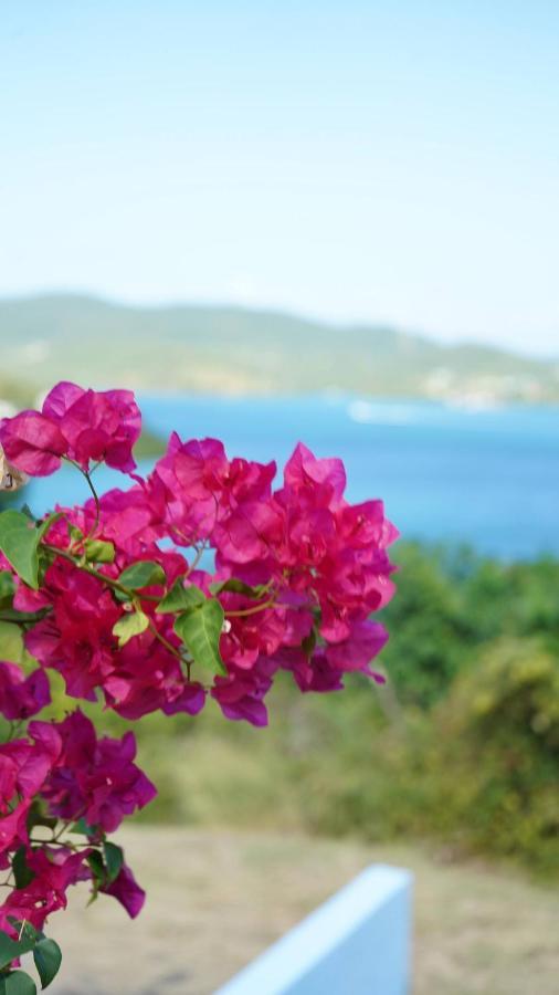 Coqui Beach Home, Culebra Кулебра Экстерьер фото