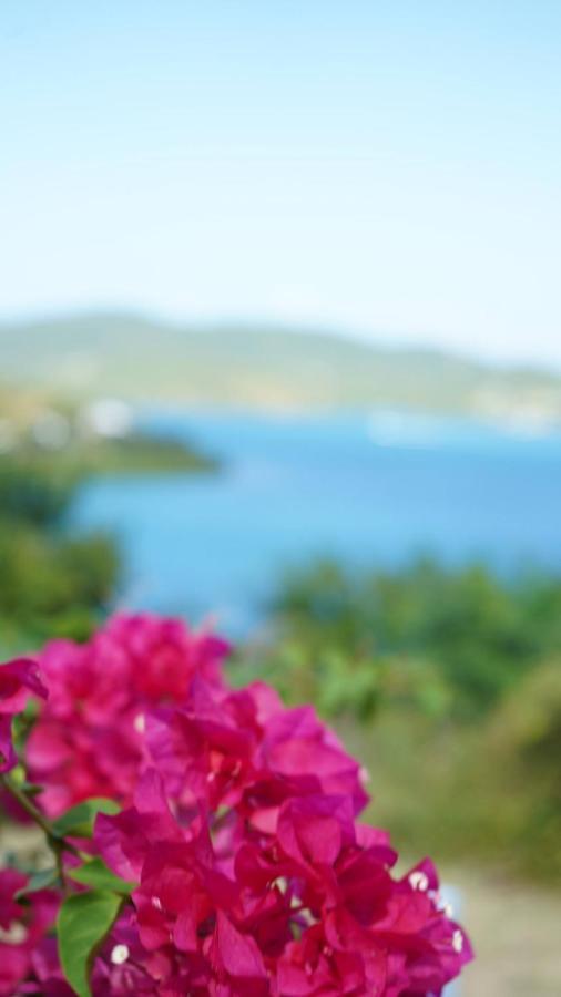 Coqui Beach Home, Culebra Кулебра Экстерьер фото