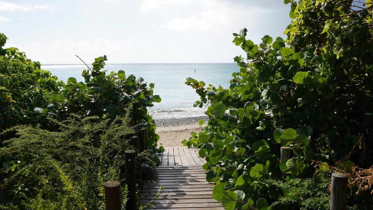 Coqui Beach Home, Culebra Кулебра Экстерьер фото
